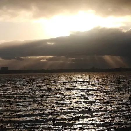 5 Star In קולדינג