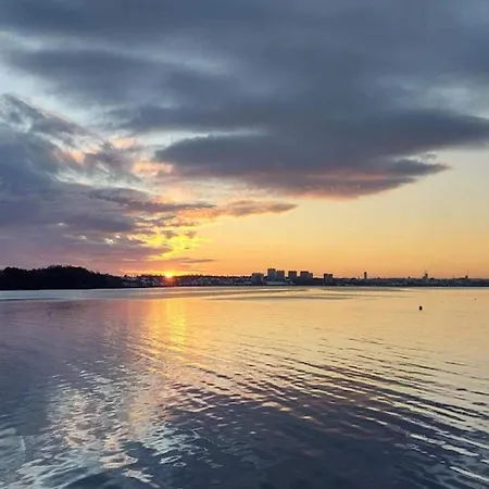 5 Star In * קולדינג